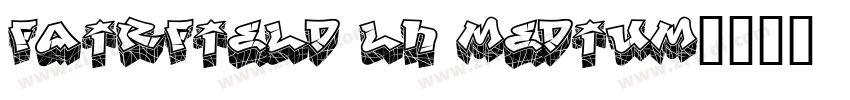 Fairfield LH medium字体转换